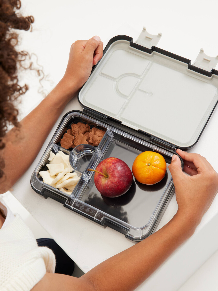 eclipse medium bento lunchbox