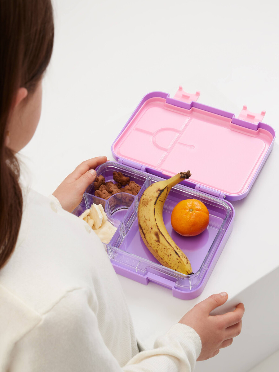 eclipse medium bento lunchbox
